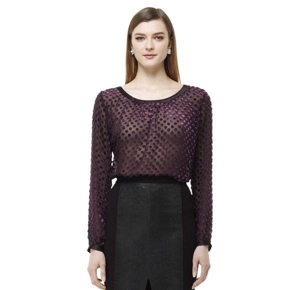 velvet dot sheer top